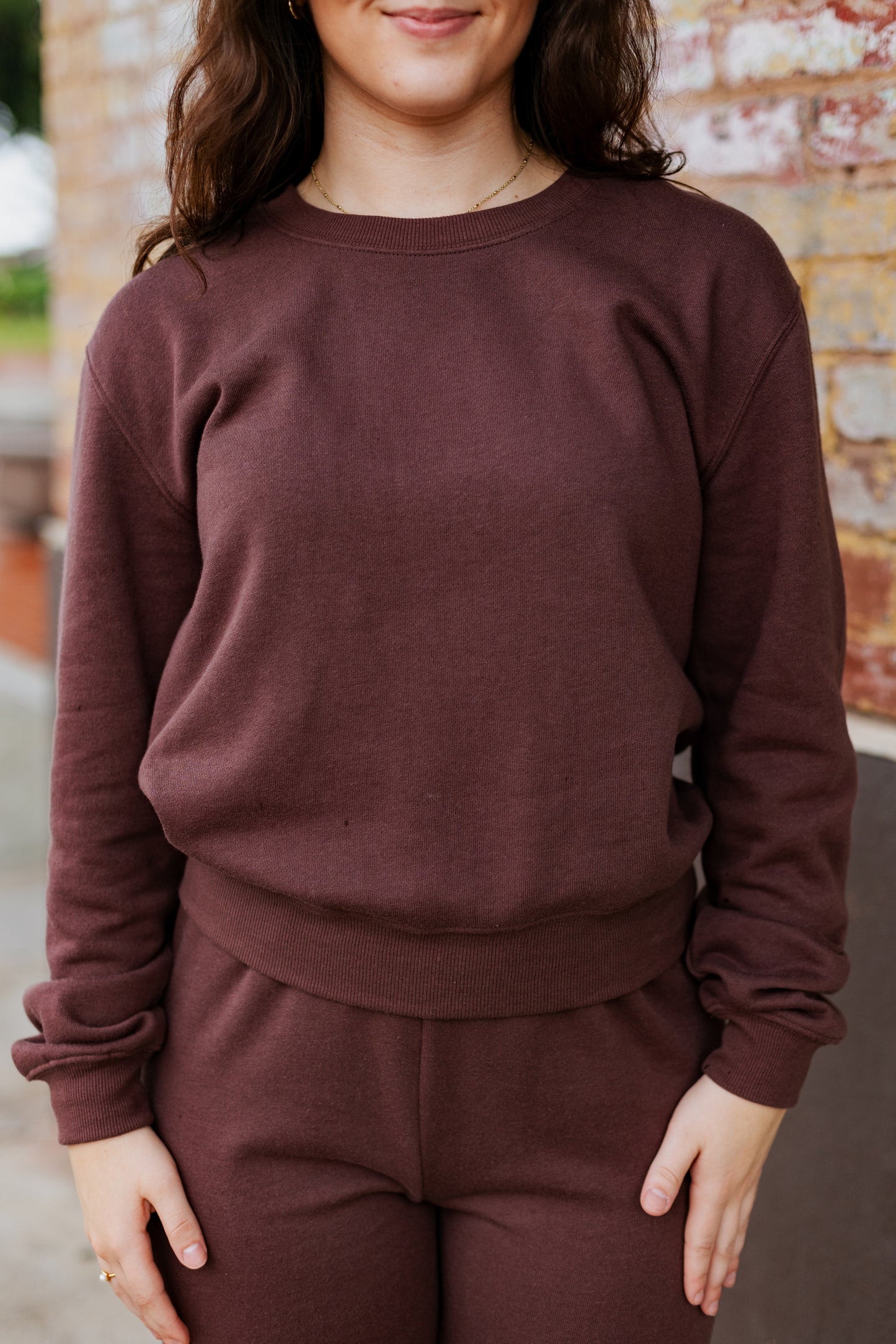 Z SUPPLY: CLASSIC CREW DARK TRUFFLE