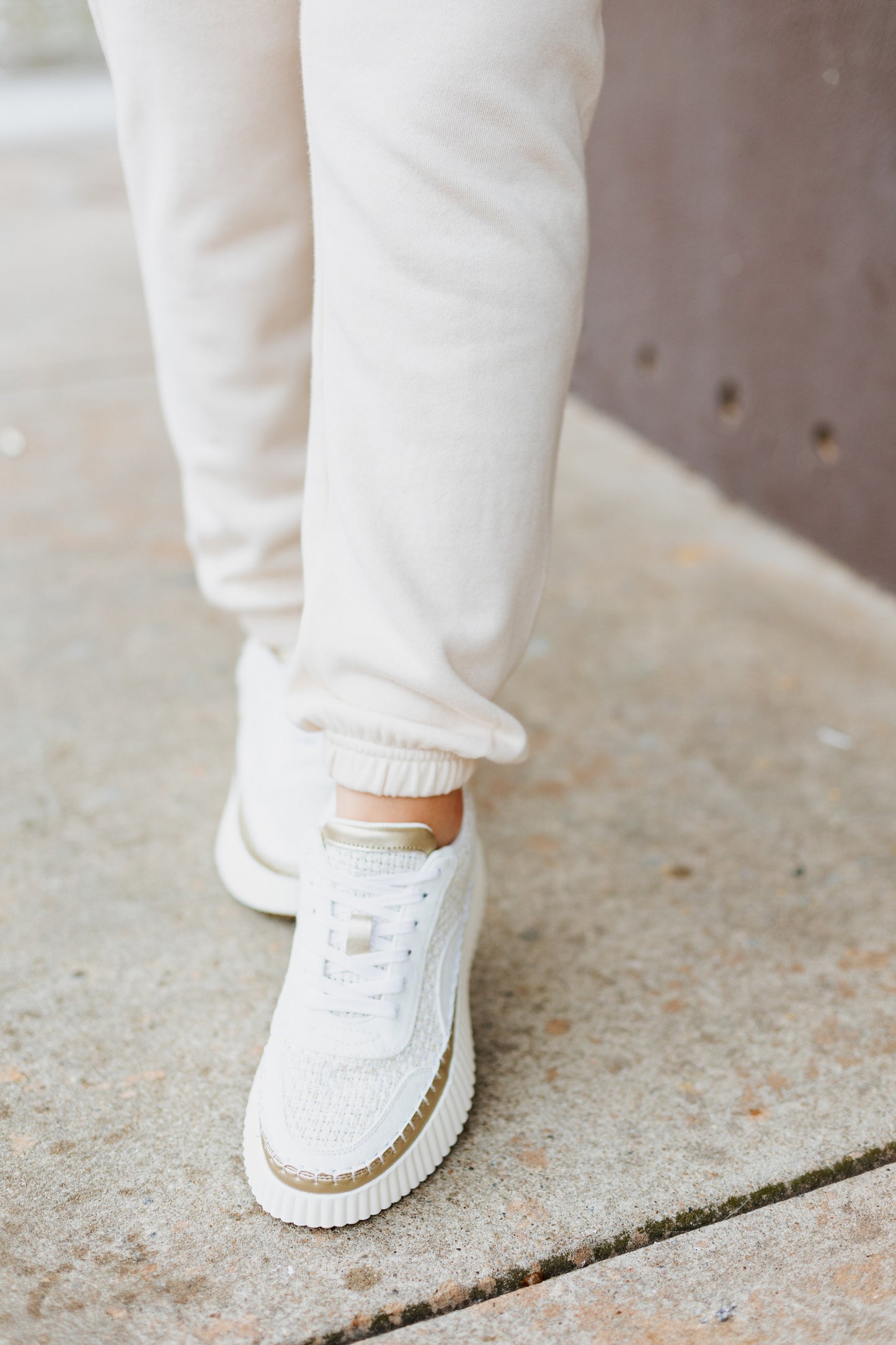 Z SUPPLY: CLASSIC GYM JOGGER STONE