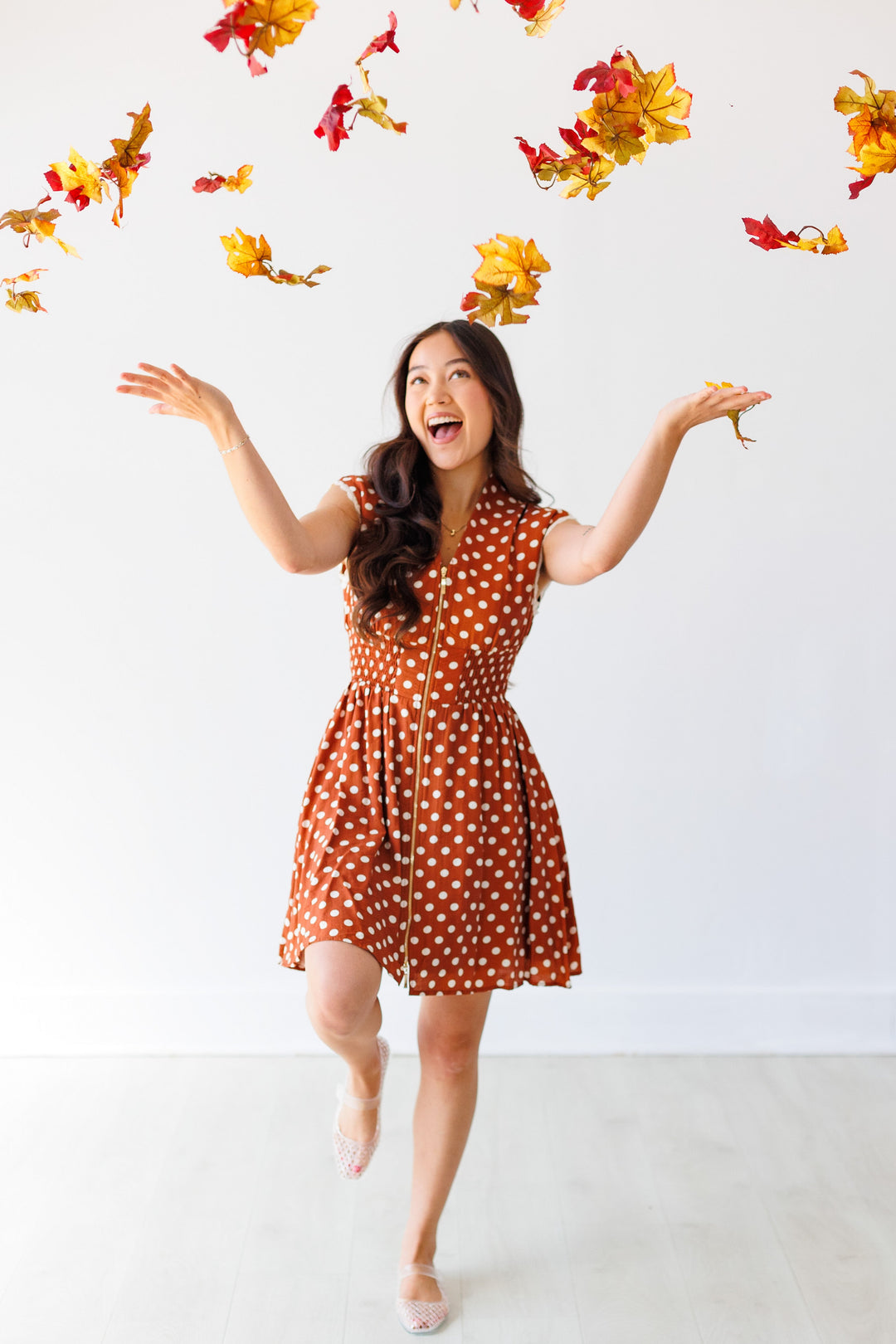 Brown Polka Dot Zip Up Dress