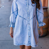 To the Rodeo Denim Shirtdress