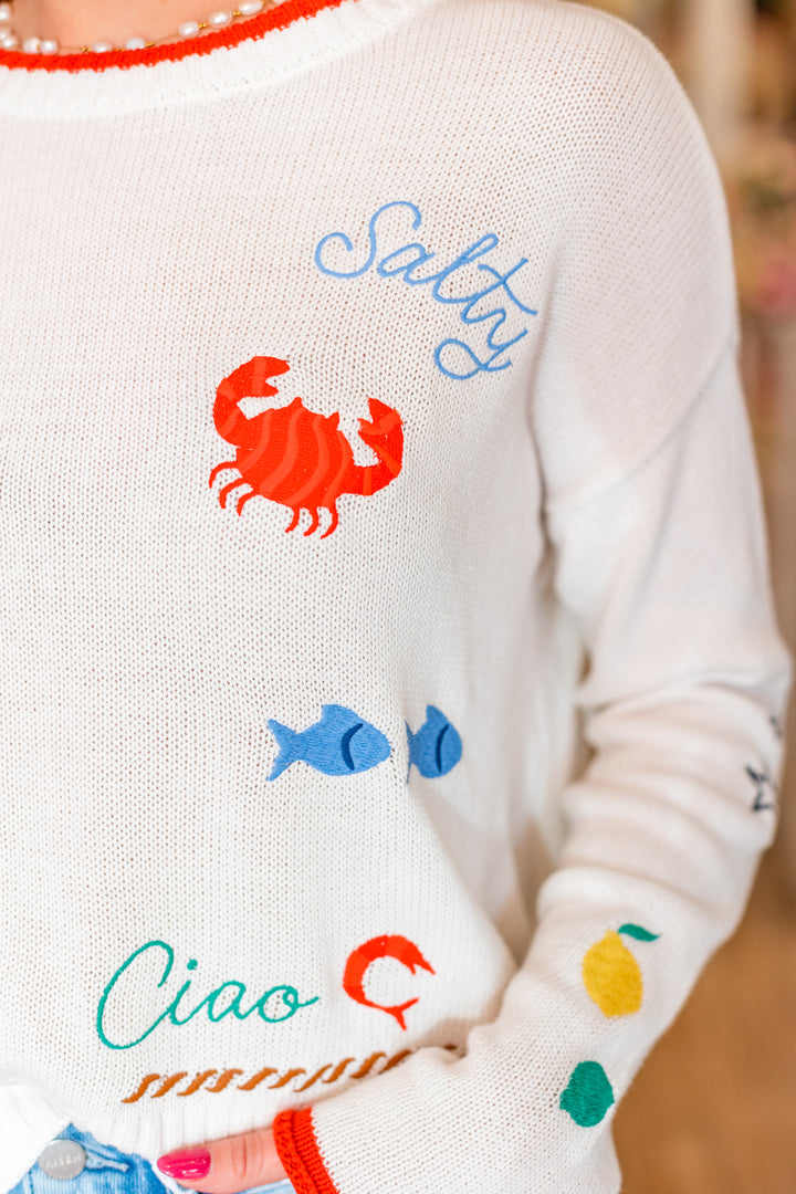 Z SUPPLY: SEAS THE DAY SWEATER