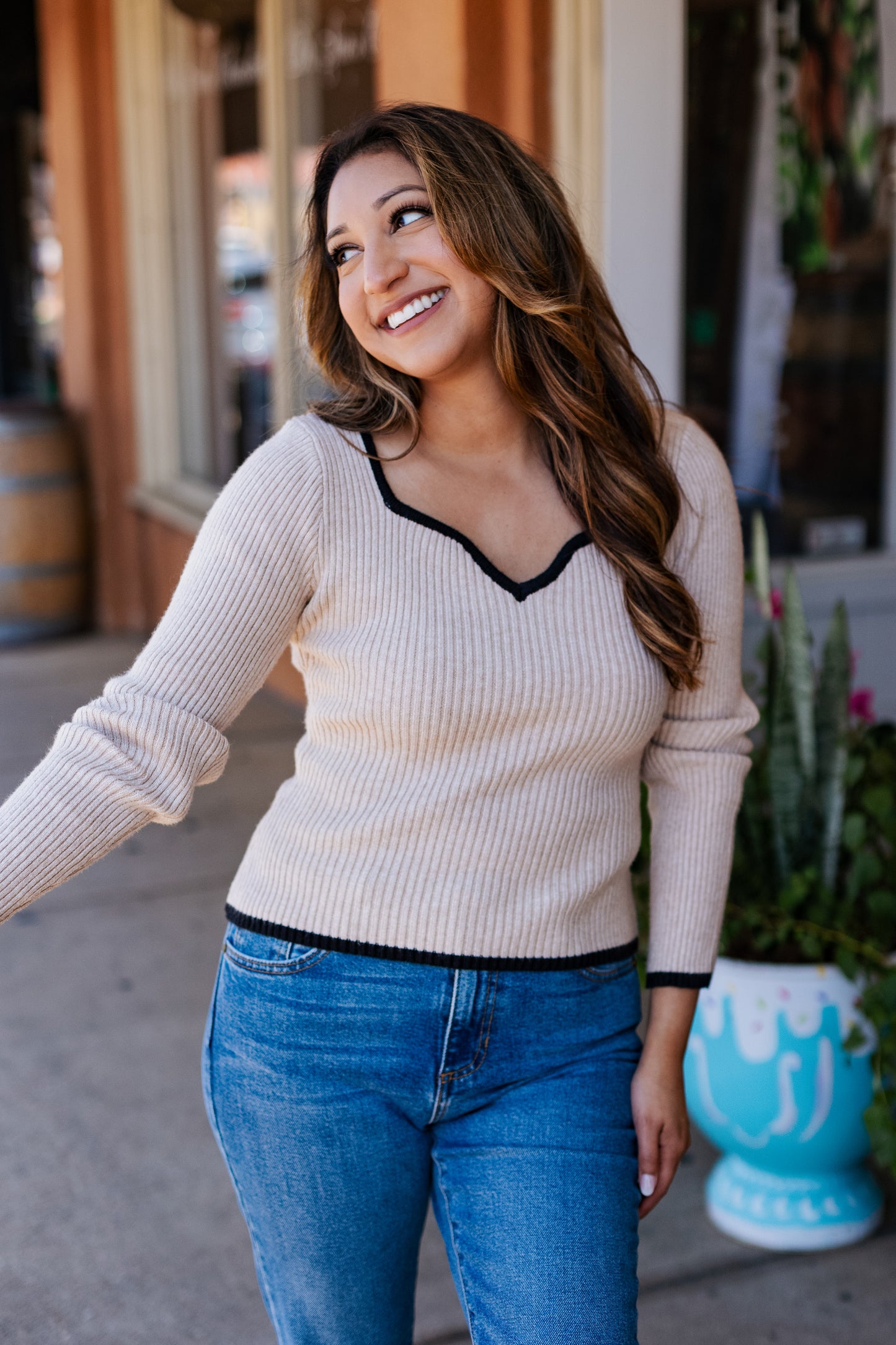 FINE LINE TAUPE SWEETHEART TOP