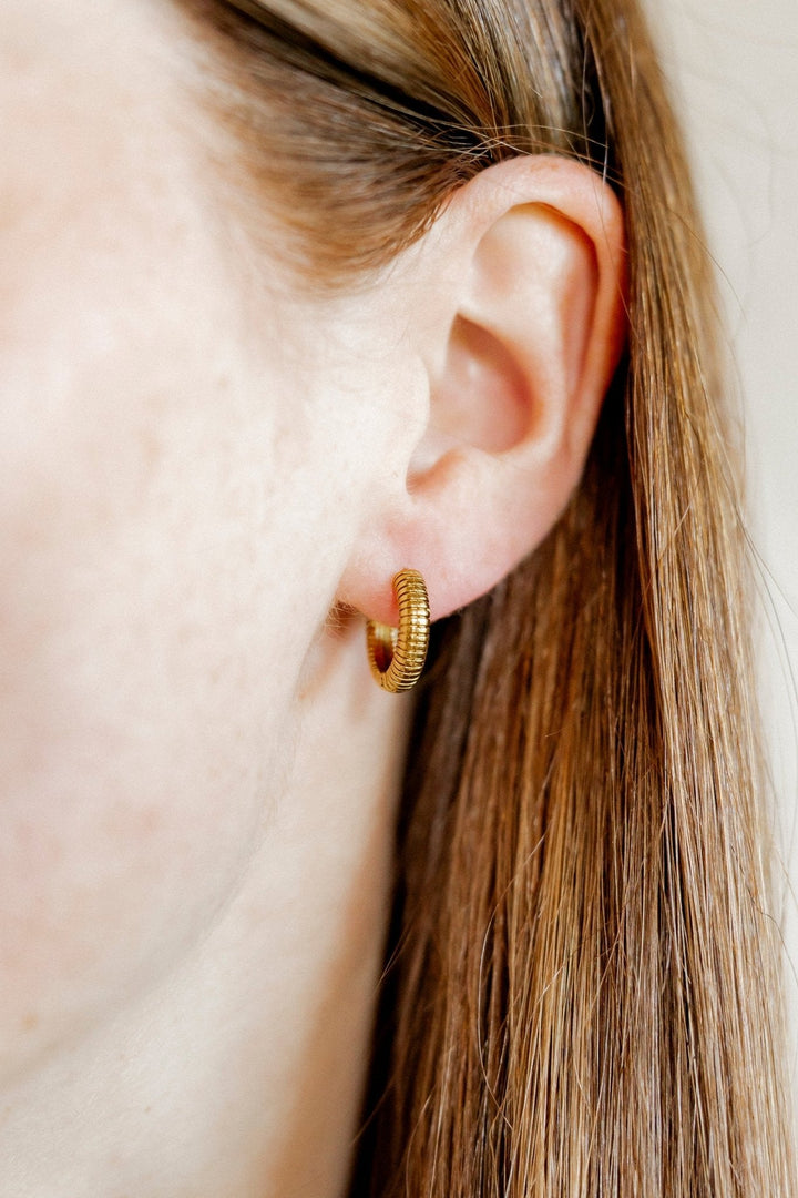 Huggie Earrings - November Gold