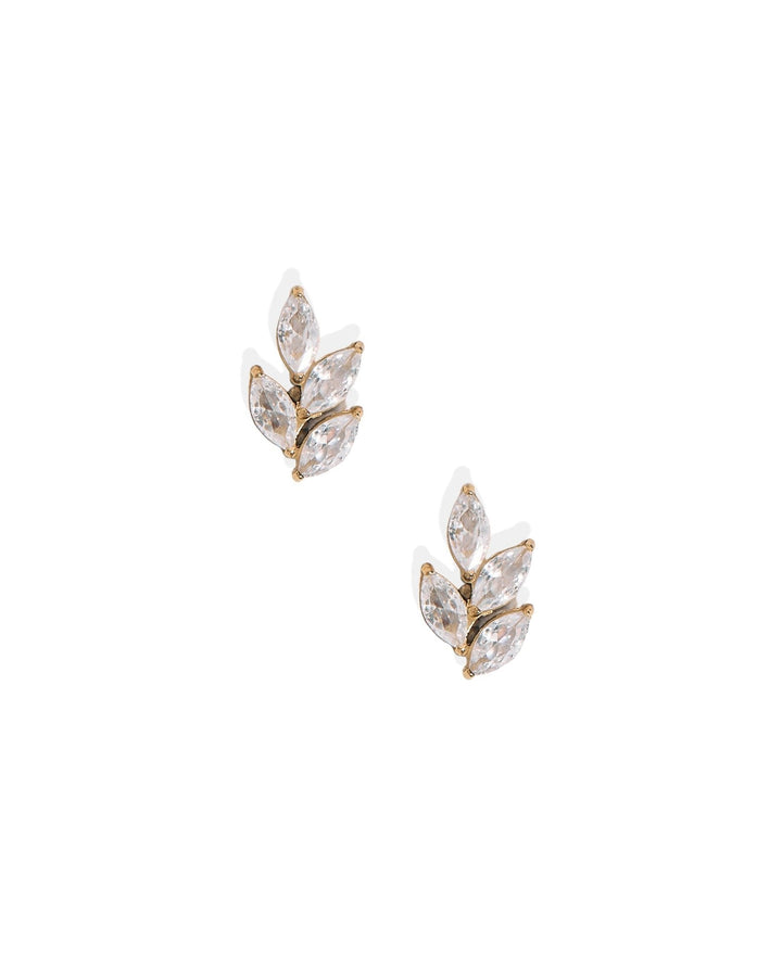 Screwback Stud Earrings - Laurel Gold